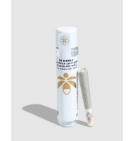 🌰 Jenny Kush Flower X Blueberry Crumble 🫐| Cold Cure Infused | Preroll | Hybrid | Lume Cannabis Co.